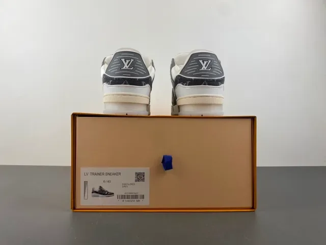 Louis Vuitton LV Trainer Monogram Canvas Lifestyle Sneakers 17