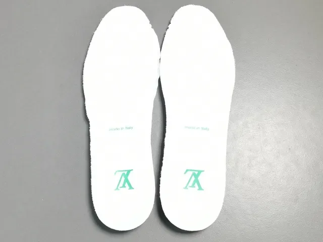 Louis Vuitton LV Trainer White and Green Lifestyle Sneakers 7