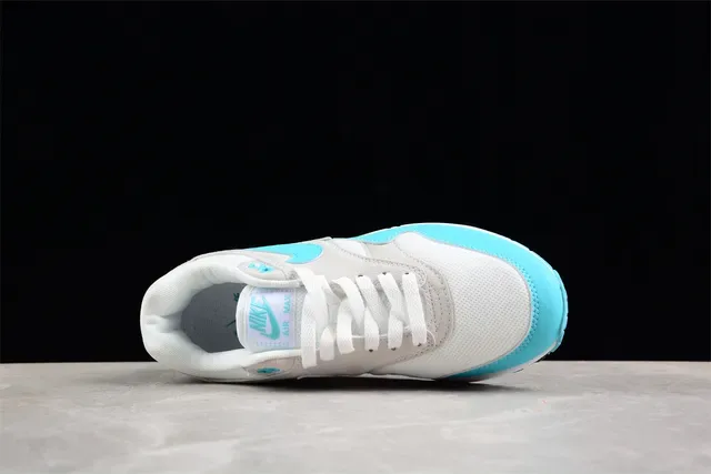 Nike Air Max 1 Cyan and Gray Lifestyle Sneakers 12