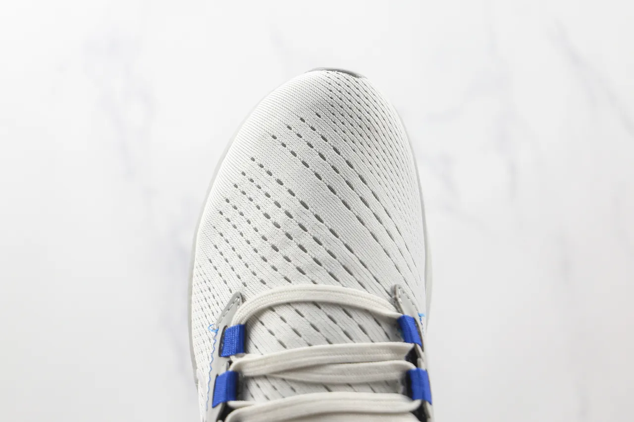 Nike Air Zoom Pegasus Kentucky Wildcats Chaussures de course blanches et bleues 6