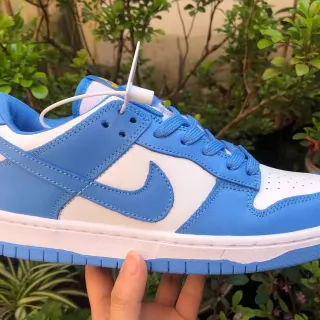 Nike Dunk Low Blue and White Lifestyle Sneakers