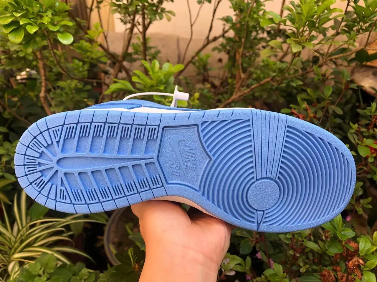 Nike Dunk Low Blue and White Lifestyle Sneakers 3