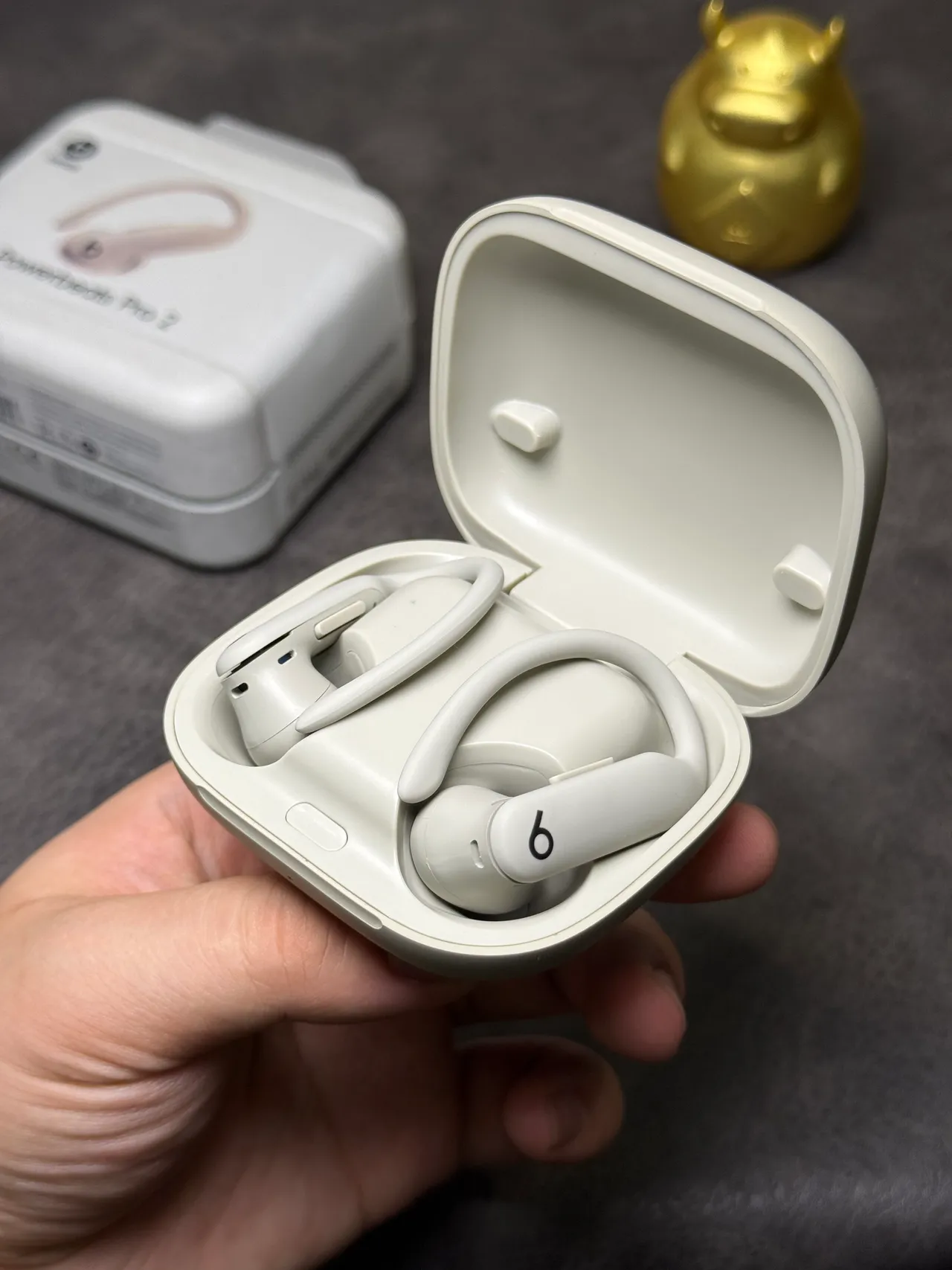 Beats Powerbeats Pro 2 Beige White Compact Rounded Case Matte Finish TWS Earbuds 12