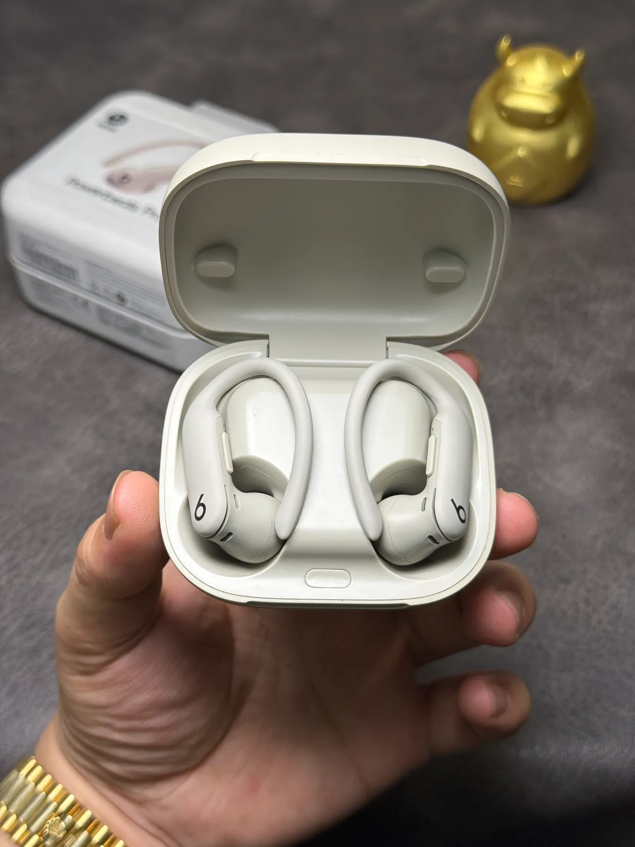 Beats Powerbeats Pro 2 Beige White Compact Rounded Case Matte Finish TWS Earbuds 13