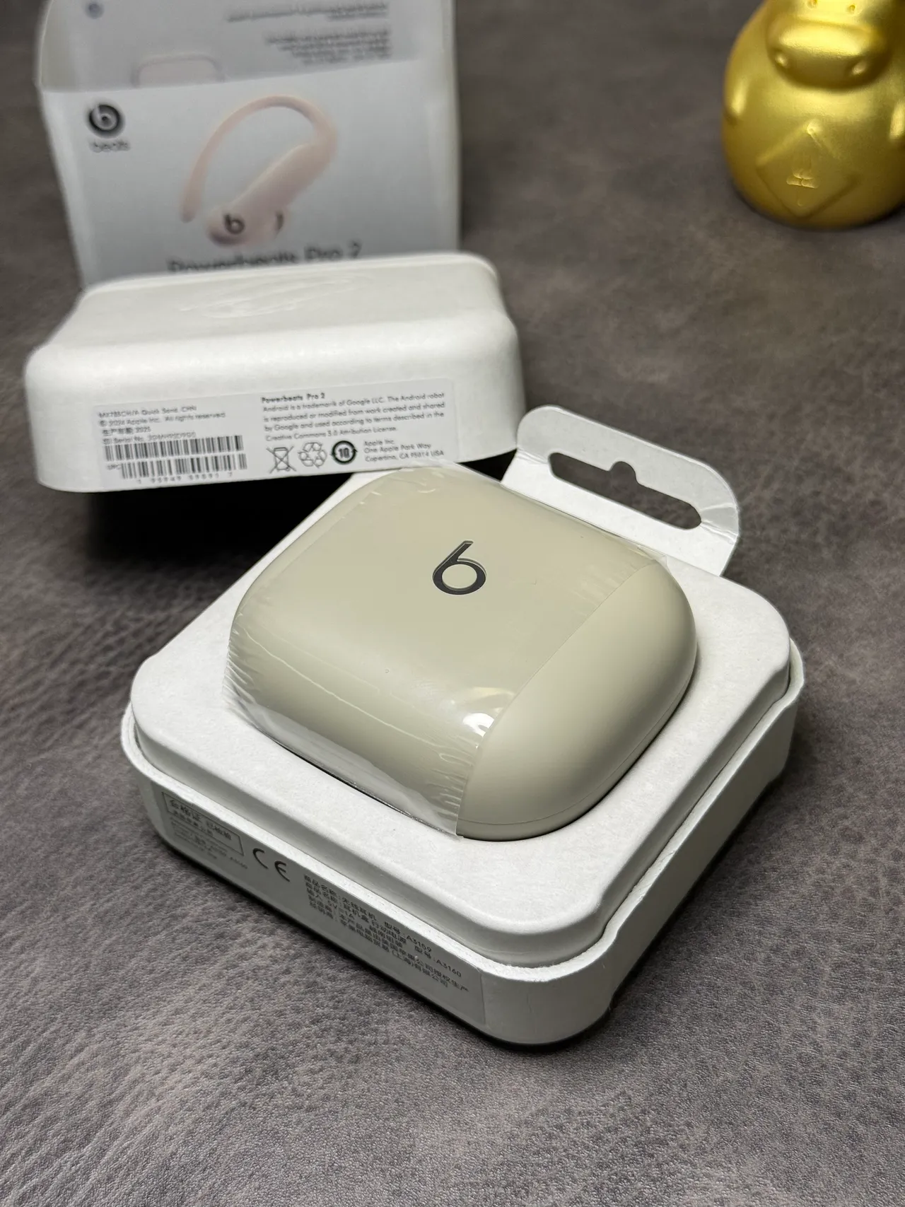 Beats Powerbeats Pro 2 Beige White Compact Rounded Case Matte Finish TWS Earbuds 15