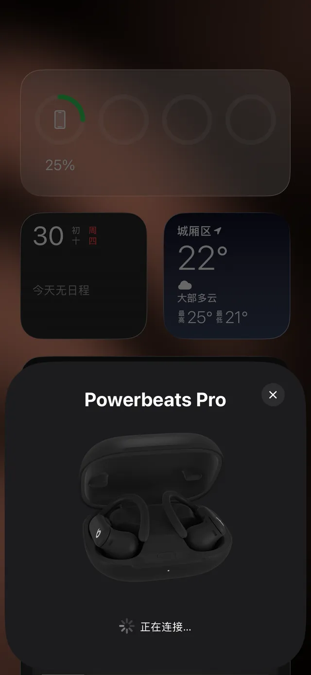 Beats Powerbeats Pro 2 Beige White Compact Rounded Case Matte Finish TWS Earbuds 19