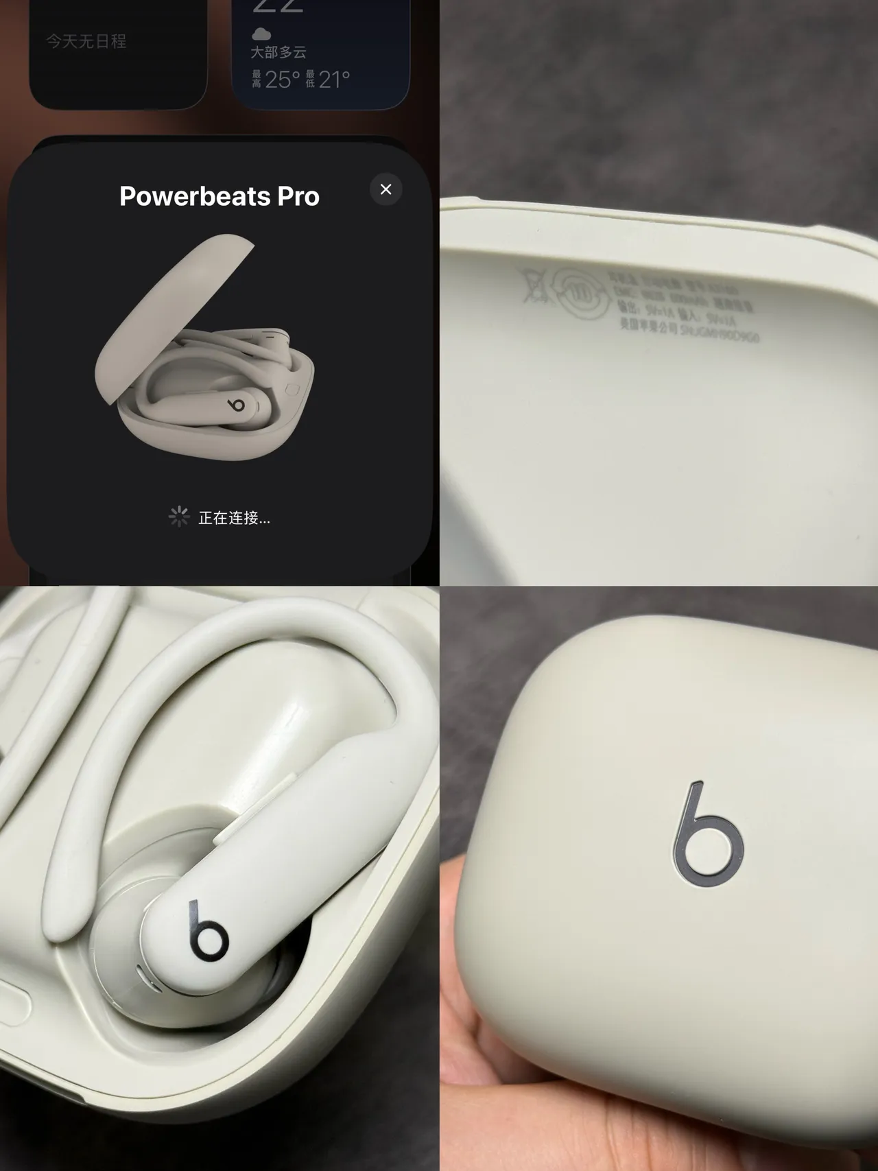 Beats Powerbeats Pro 2 Beige White Compact Rounded Case Matte Finish TWS Earbuds 20
