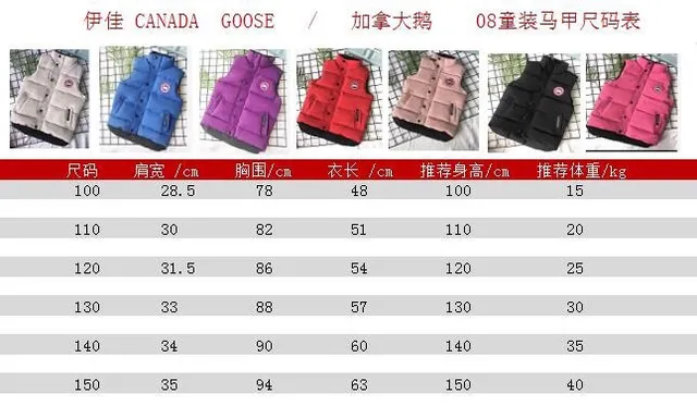 Canada Goose Purple Black Quilted High-Collar Vest 2