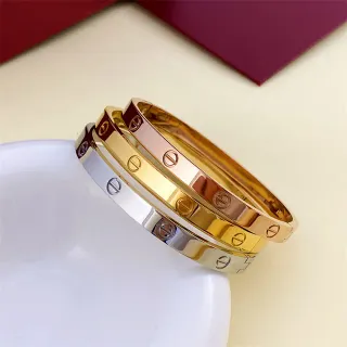 Cartier Love Bracelet Silver Gold Rose Gold Tone Rigid Screw-Set Bracelets