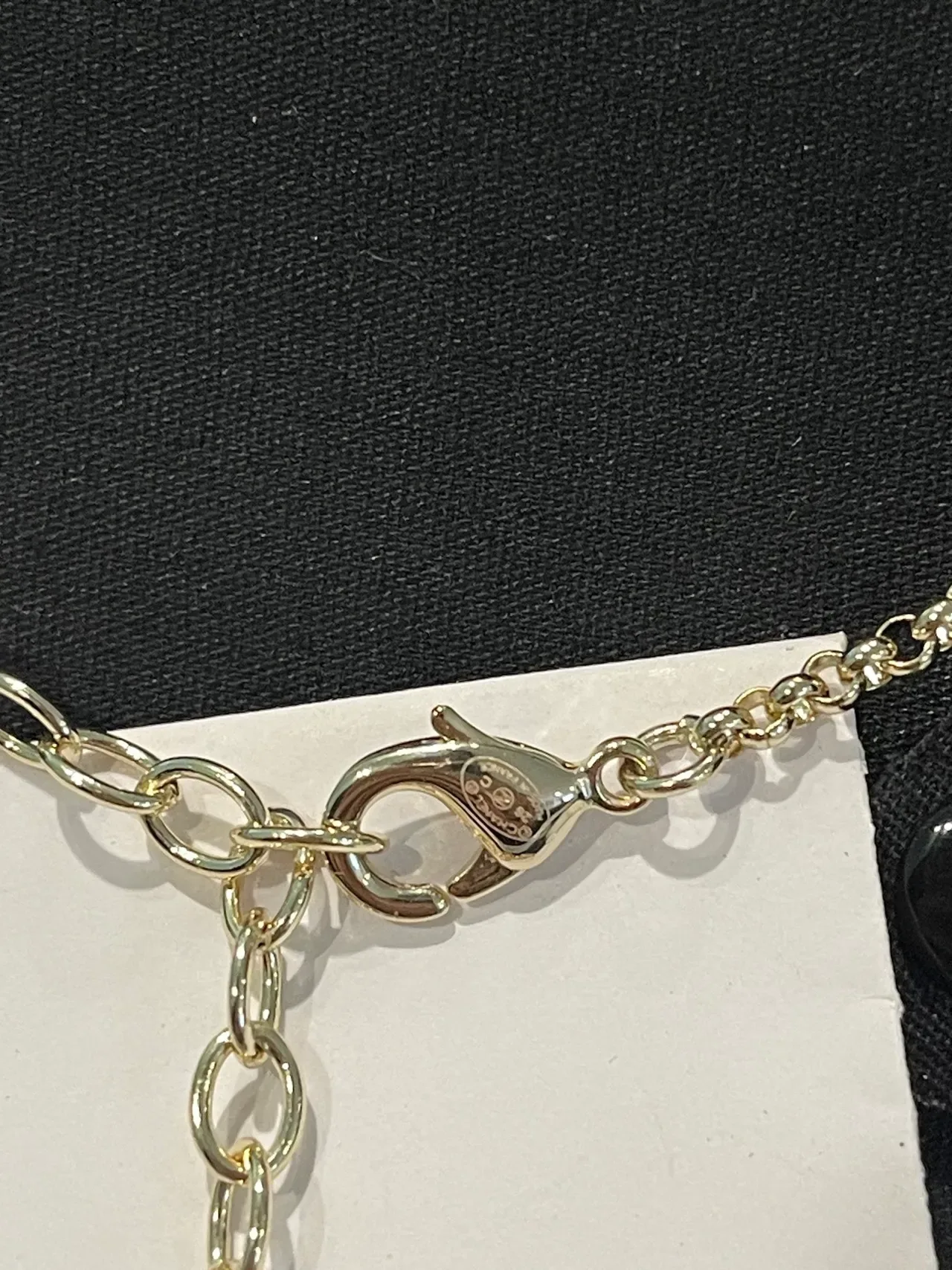 Chanel Coco Charm Enamel Necklace 5