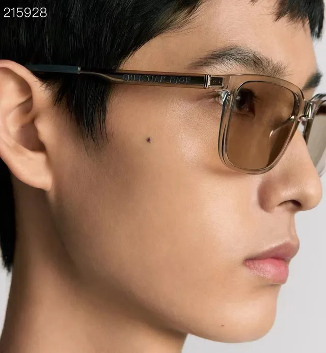 Dior Rectangular Translucent Acetate Gradient Brown Sunglasses 9