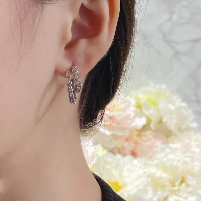 Gold and Silver Tone Segmented Pavé Hoop Earrings 9