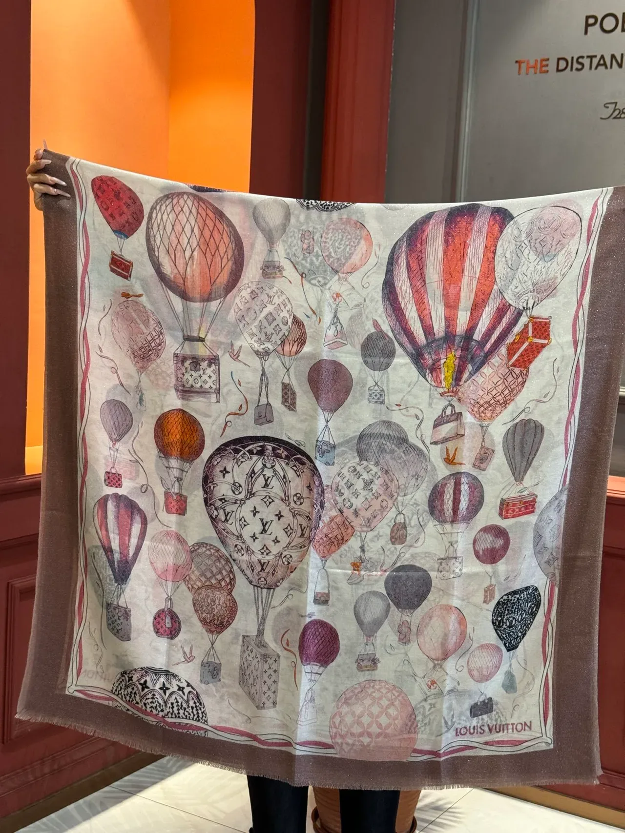 Écharpe en soie transparente avec impression de ballon à air chaud illustré 9