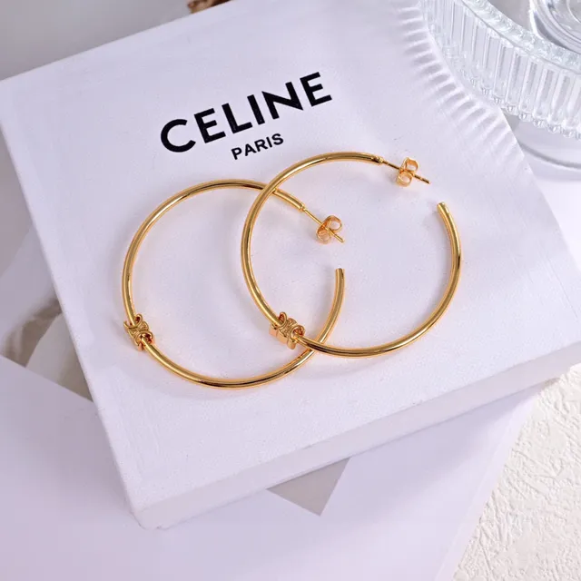 Silver Gold Hoop Polished Metal Earrings 3