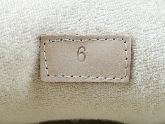 Gucci Brown Beige Chunky Platform Sole GG Monogram Canvas Lifestyle Sneakers 12