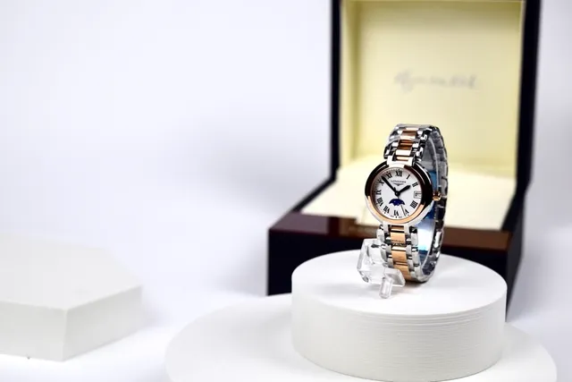 Longines Argent Or Bicolore Acier Inoxydable Phase Lunaire Complication Montre Mécanique 3