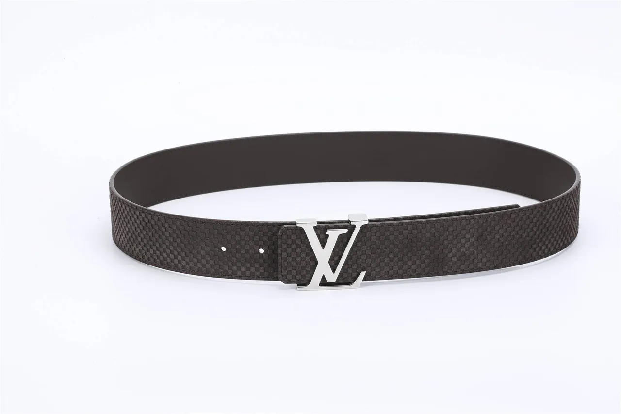 Louis Vuitton Brown Silver Woven Textured Strap Polished LV Buckle Leather Belt 7