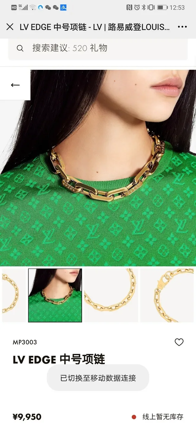 Louis Vuitton Chain Bracelet Gold and Silver Tone Chunky Link Bracelets 9