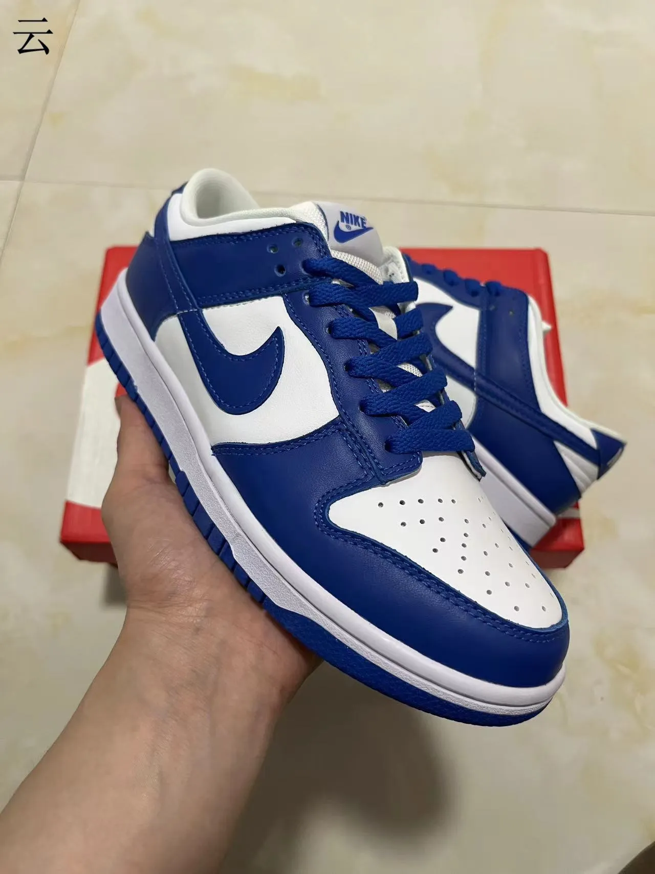 Nike Dunk Low Royal Blue and White Lifestyle Sneakers 2