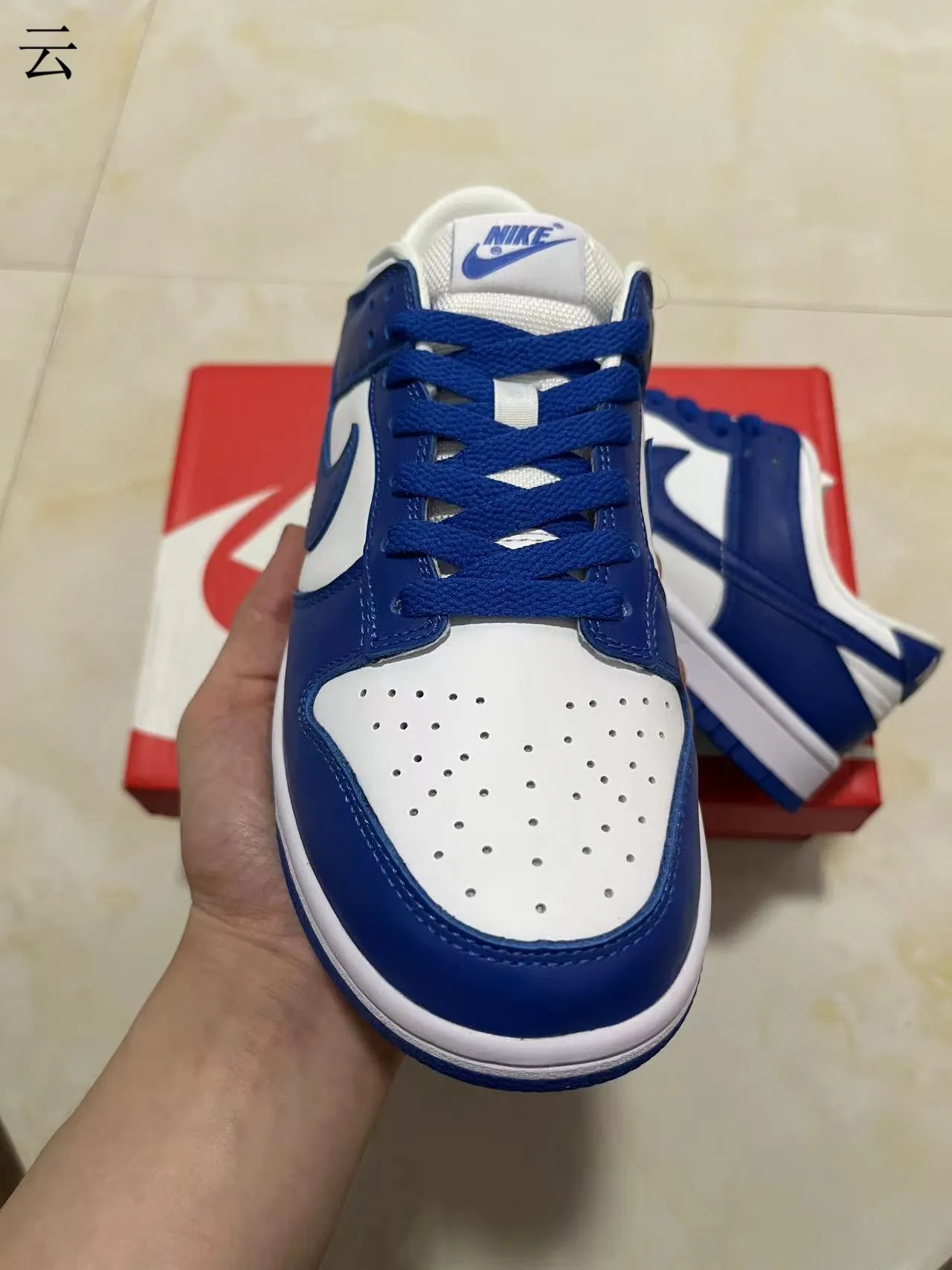 Nike Dunk Low Royal Blue and White Lifestyle Sneakers 3