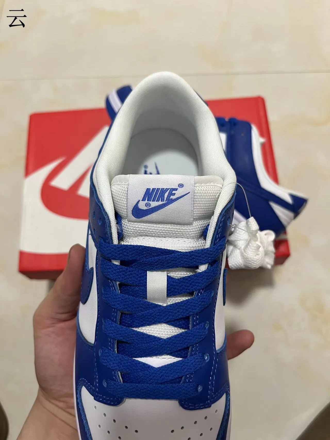 Nike Dunk Low Royal Blue and White Lifestyle Sneakers 4