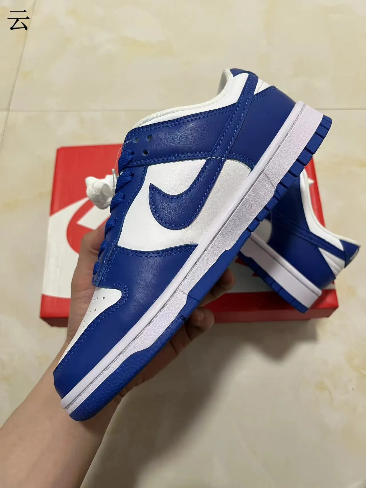 Nike Dunk Low Royal Blue and White Lifestyle Sneakers 5