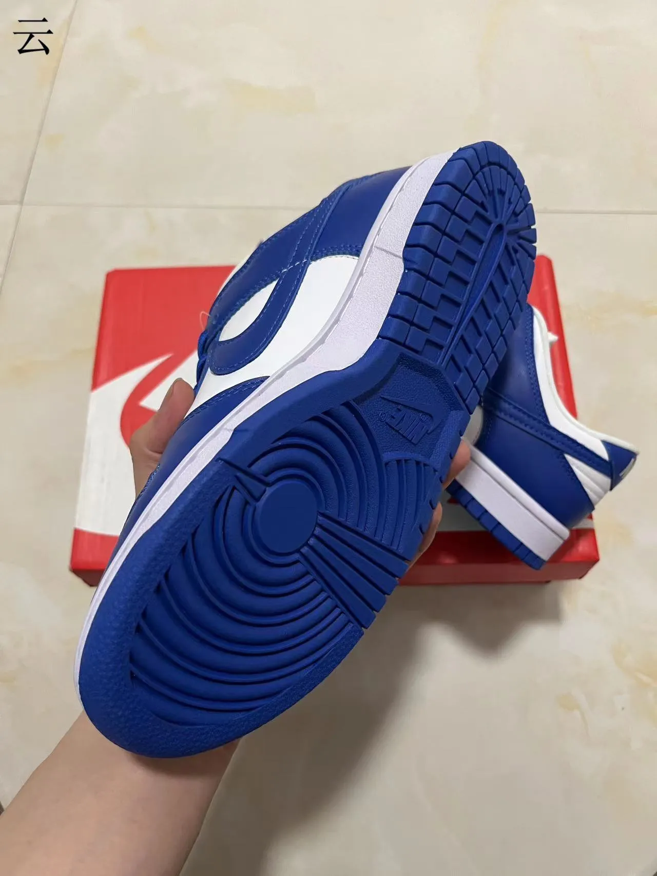 Nike Dunk Low Royal Blue and White Lifestyle Sneakers 6