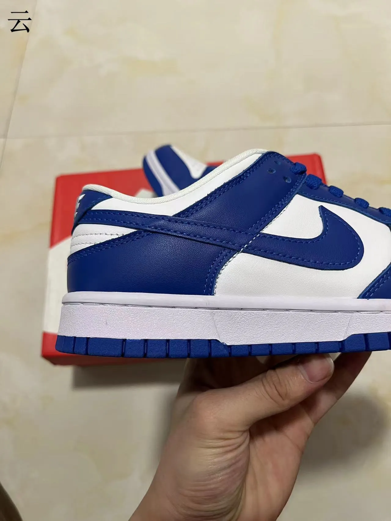 Nike Dunk Low Royal Blue and White Lifestyle Sneakers 7