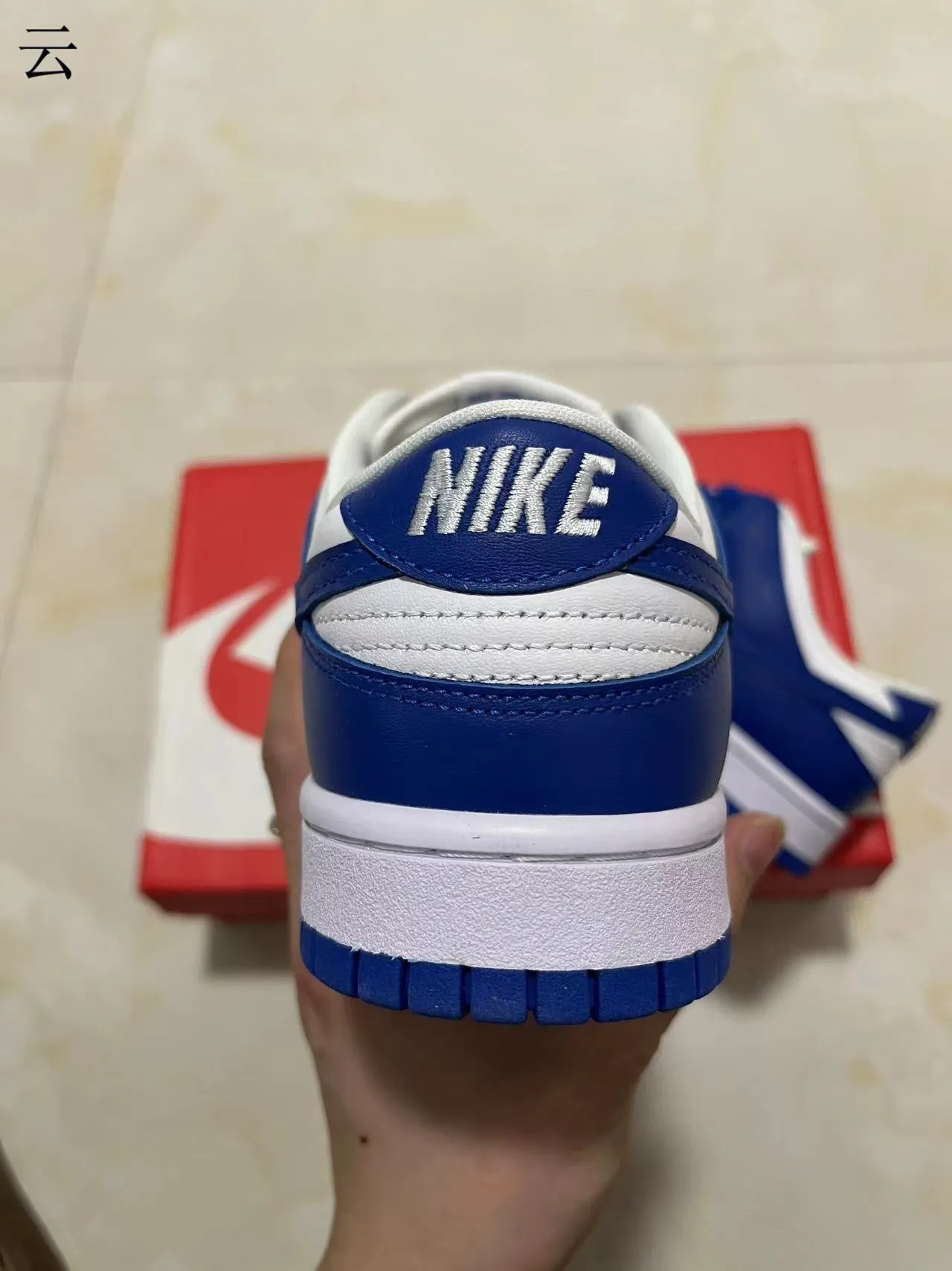 Nike Dunk Low Royal Blue and White Lifestyle Sneakers 8