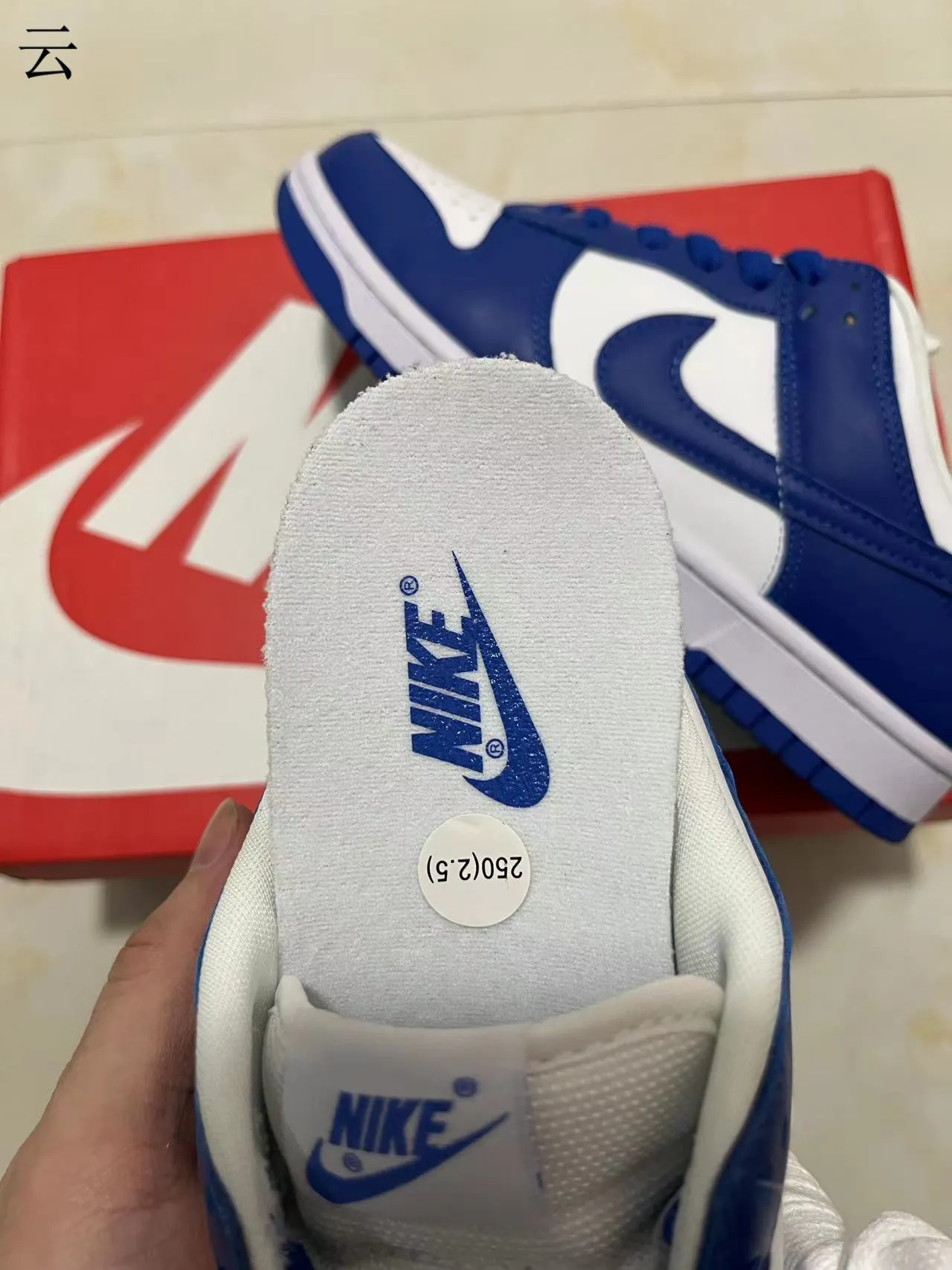 Nike Dunk Low Royal Blue and White Lifestyle Sneakers 9