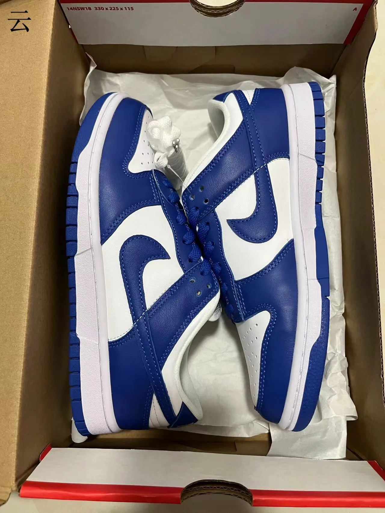 Nike Dunk Low Royal Blue and White Lifestyle Sneakers 11