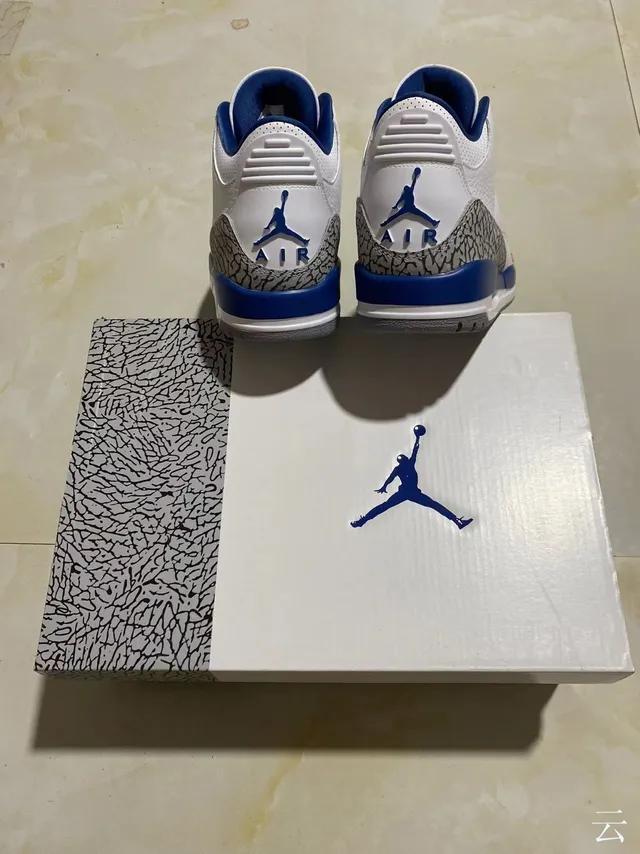 Tênis de basquete Air Jordan 3 branco e azul royal com estampa de elefante 10