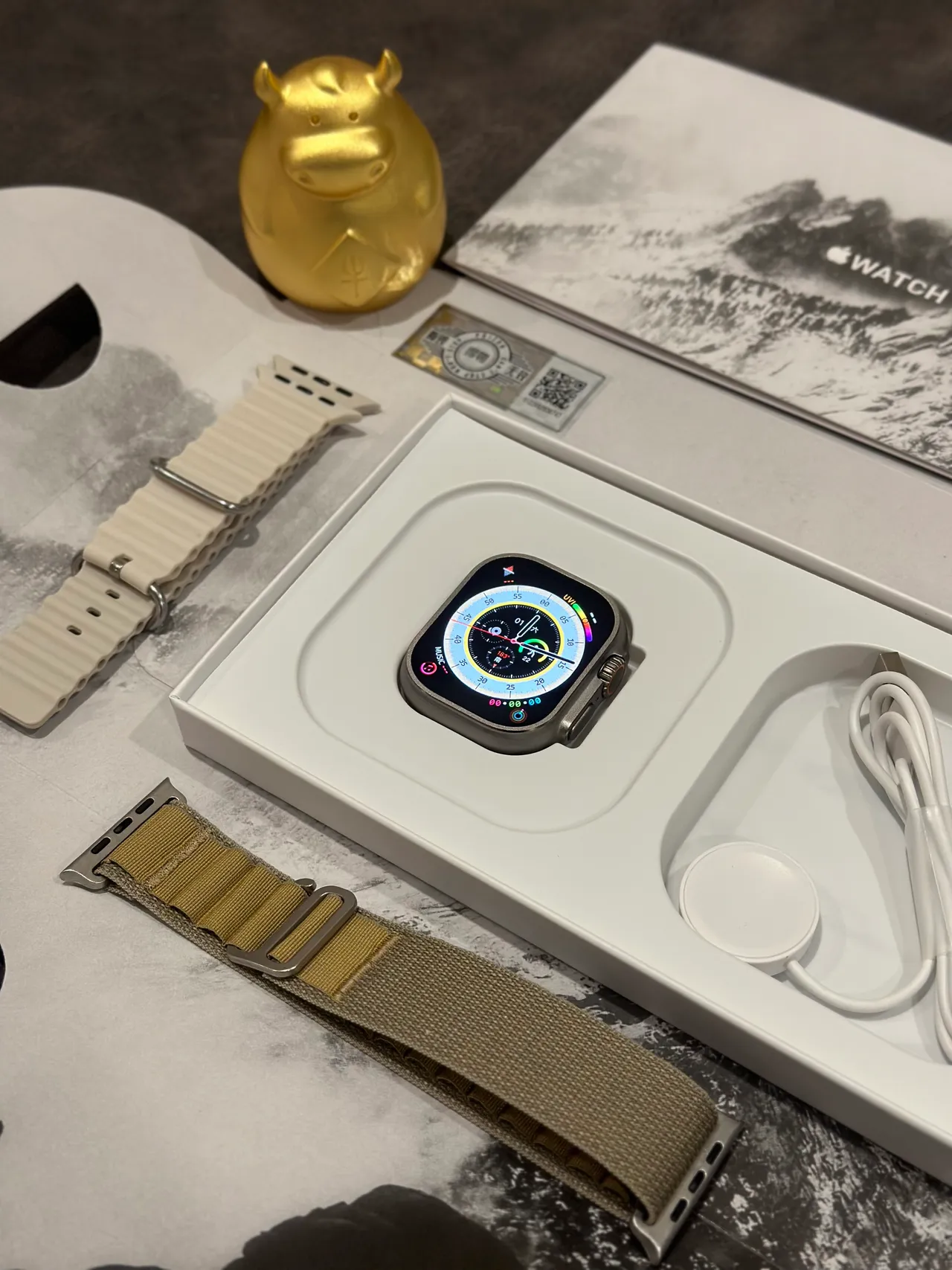 Apple Watch Ultra Titanium Gray Sports Watch 20