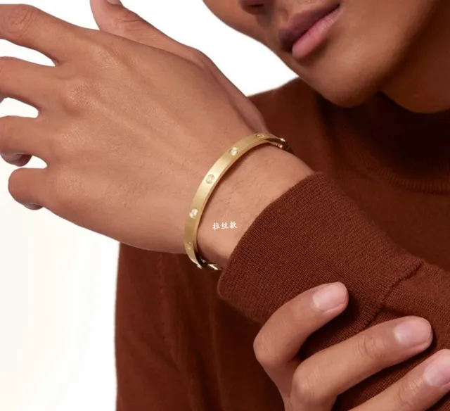 Cartier Love Bracelet হলুদ সোনা গোলাপ সোনা সাদা সোনা ডায়মন্ড-সেট ব্রেসলেট 8