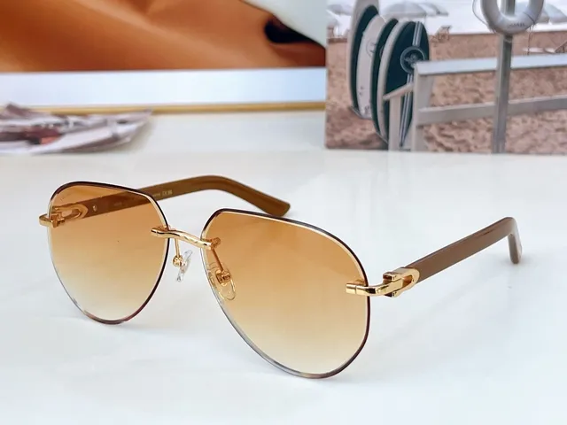 Cartier Vermelho Marrom Sem Aro Oval Dourado Bisagra Fecho Óculos de Sol 5
