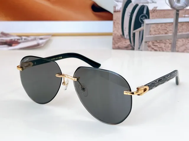 Cartier Vermelho Marrom Sem Aro Oval Dourado Bisagra Fecho Óculos de Sol 8