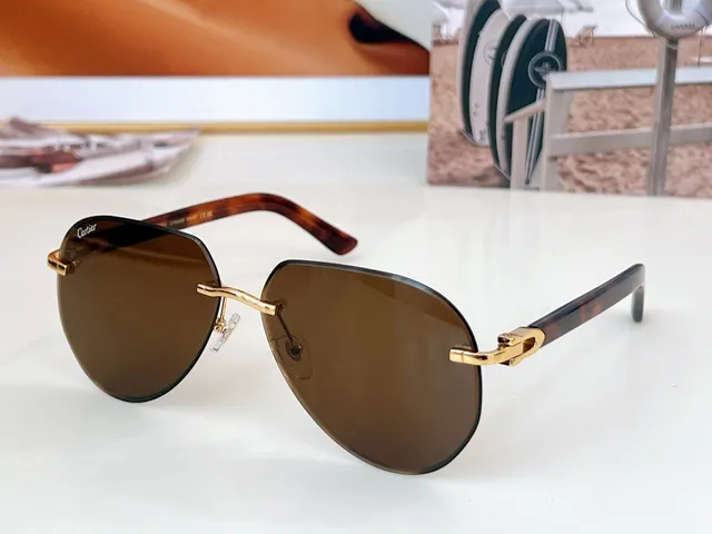 Cartier Vermelho Marrom Sem Aro Oval Dourado Bisagra Fecho Óculos de Sol 9