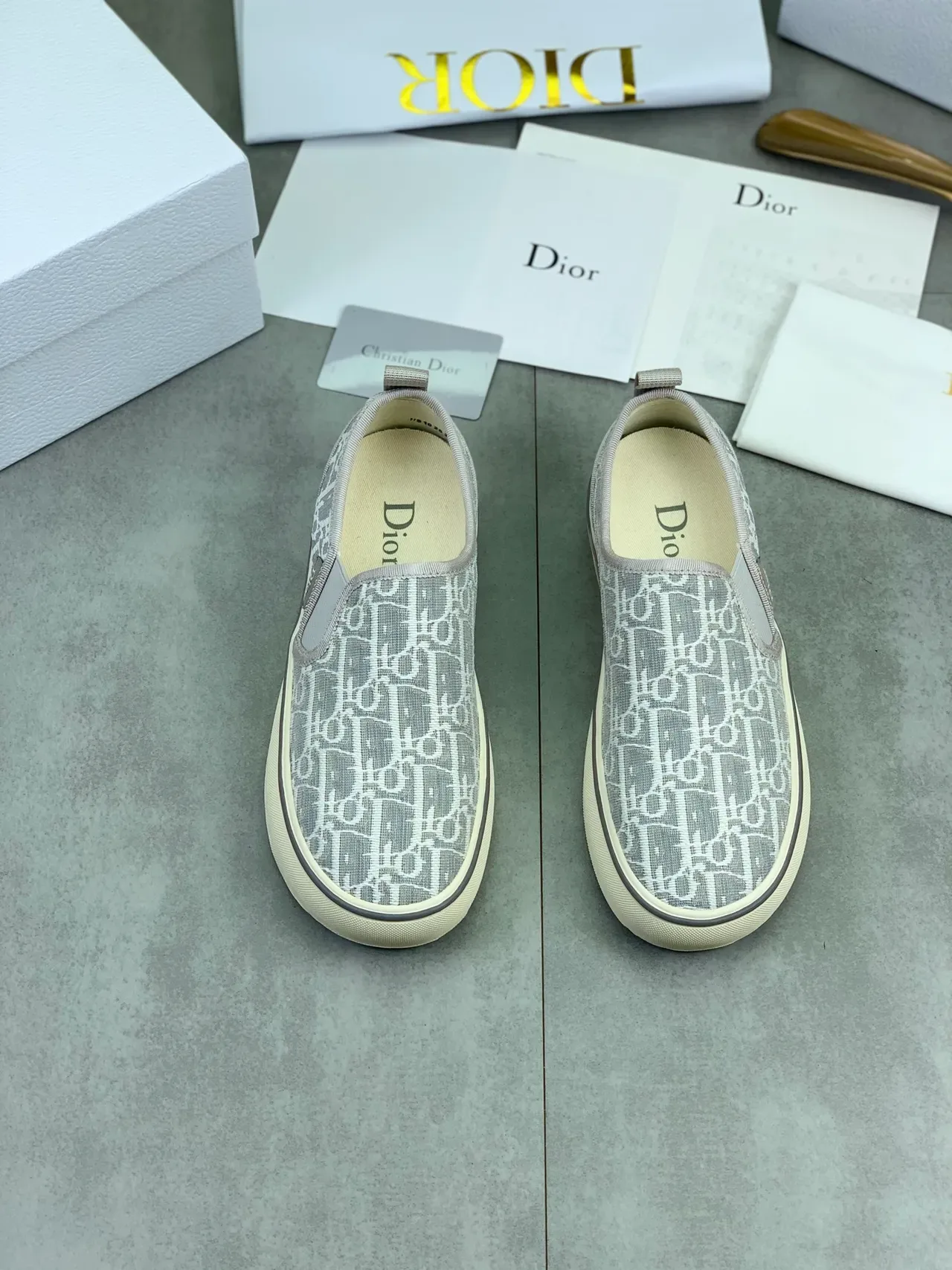 Dior B23 Slip-On Monogram Gray Canvas Shoes 4