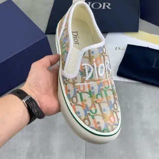 Dior Beige Multicolor Slip-On Oblique Monogram Canvas Lifestyle Sneakers