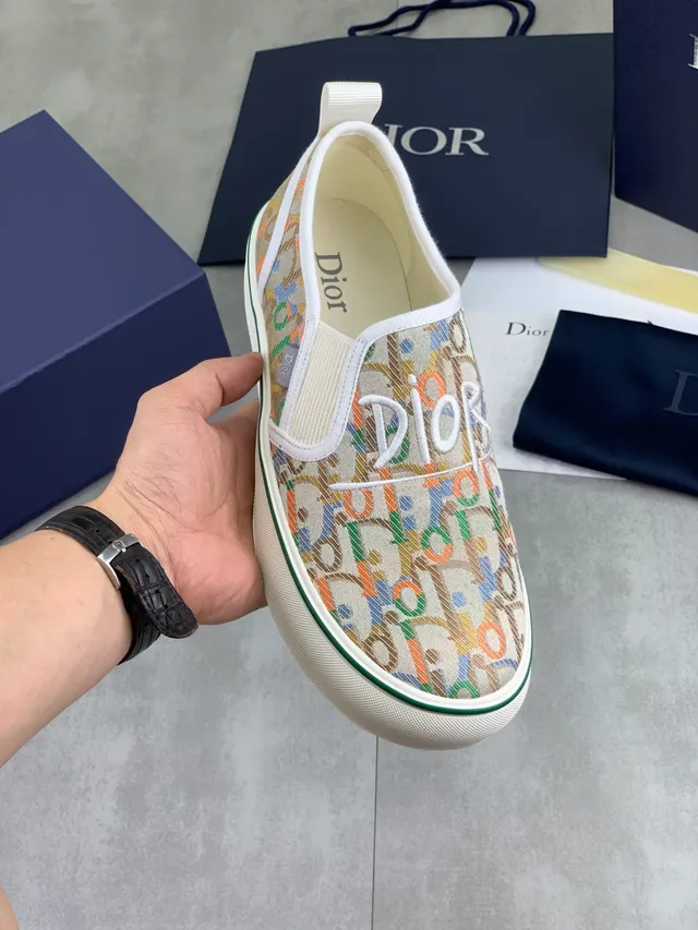 Dior Beige Multicolor Slip-On Oblique Monogram Canvas Lifestyle Sneakers 1