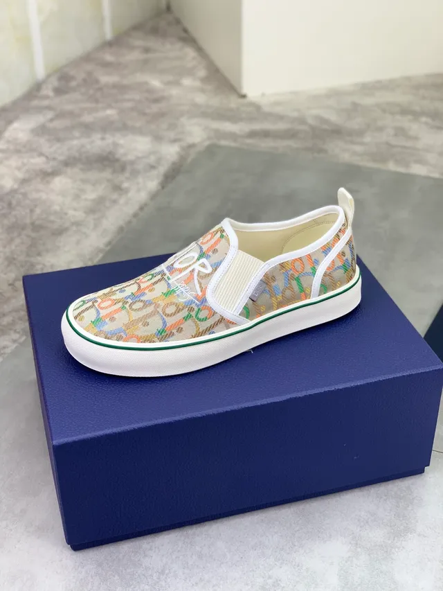 Dior Beige Multicolor Slip-On Oblique Monogram Canvas Lifestyle Sneakers 4