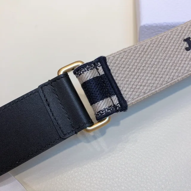 Dior Oblique Woven Logo Canvas Belt 2