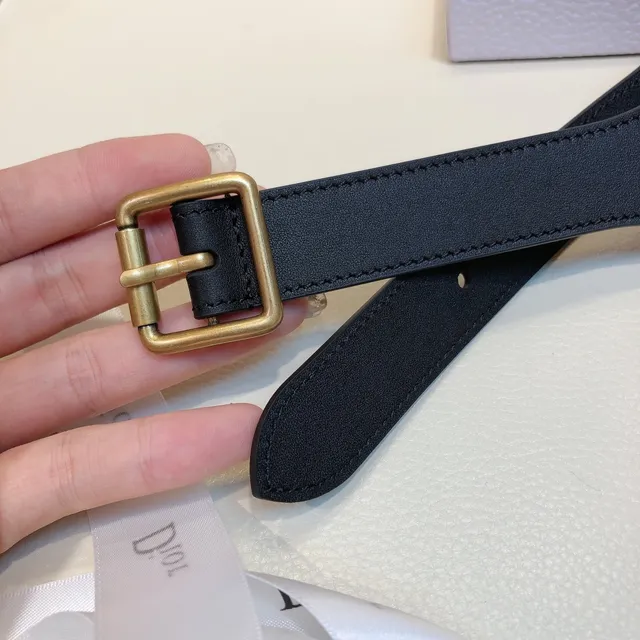 Dior Oblique Woven Logo Canvas Belt 4