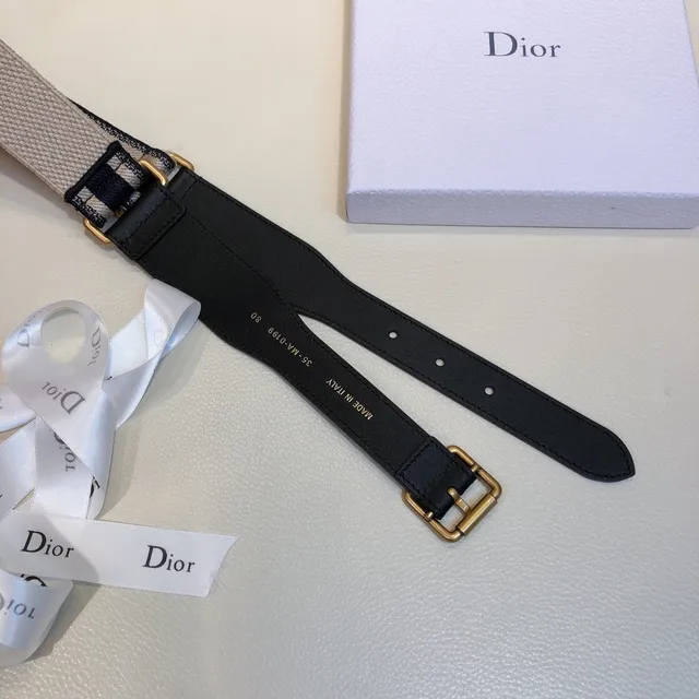 Dior Oblique Woven Logo Canvas Belt 6