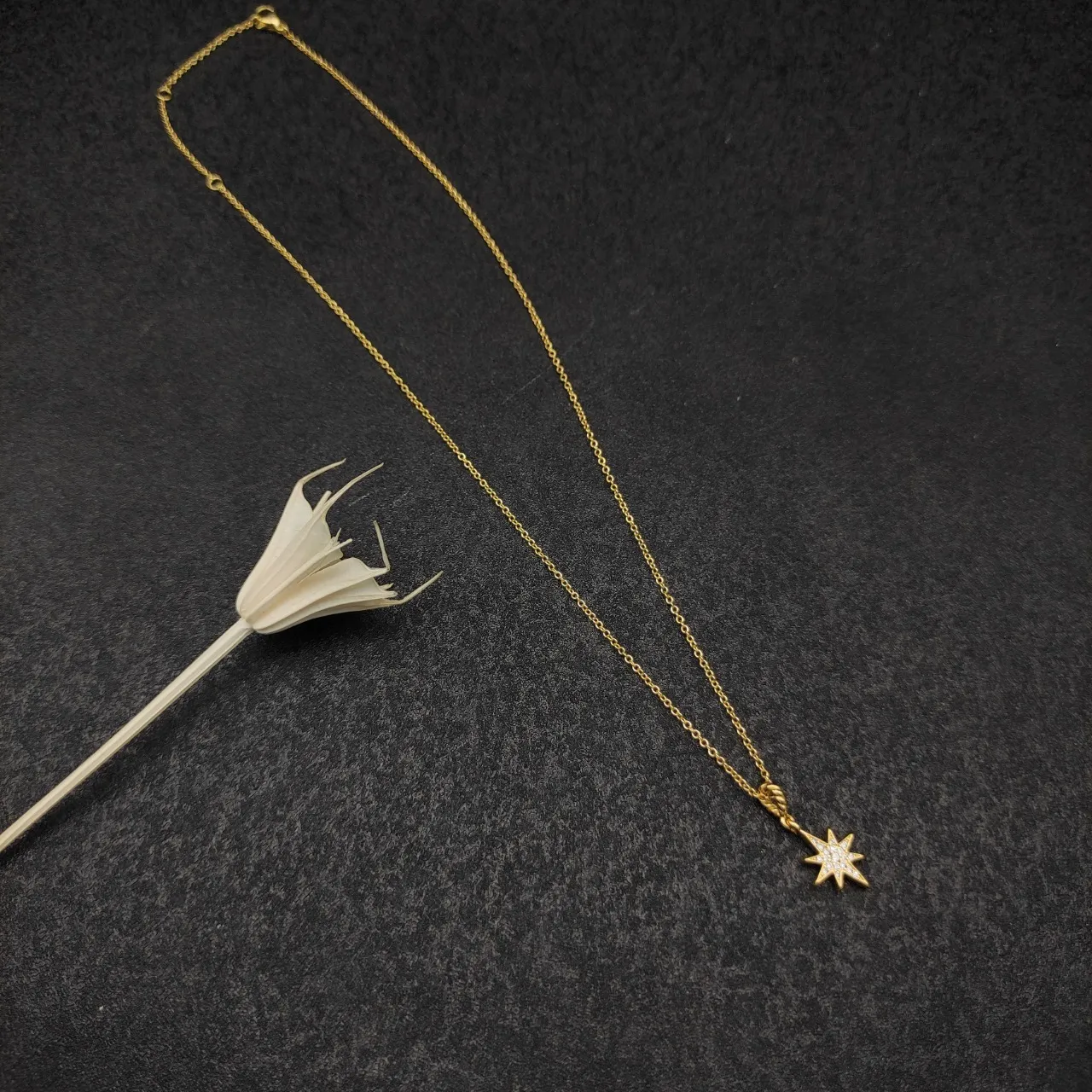 David Yurman Star Pendant Gold White Chain Pavé-Set Necklace 9