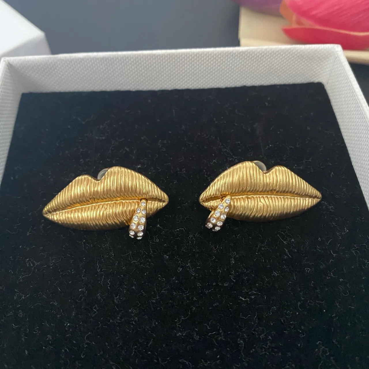 Gold Transparent Lip-Shaped Textured Ridged Surface Earrings 7
