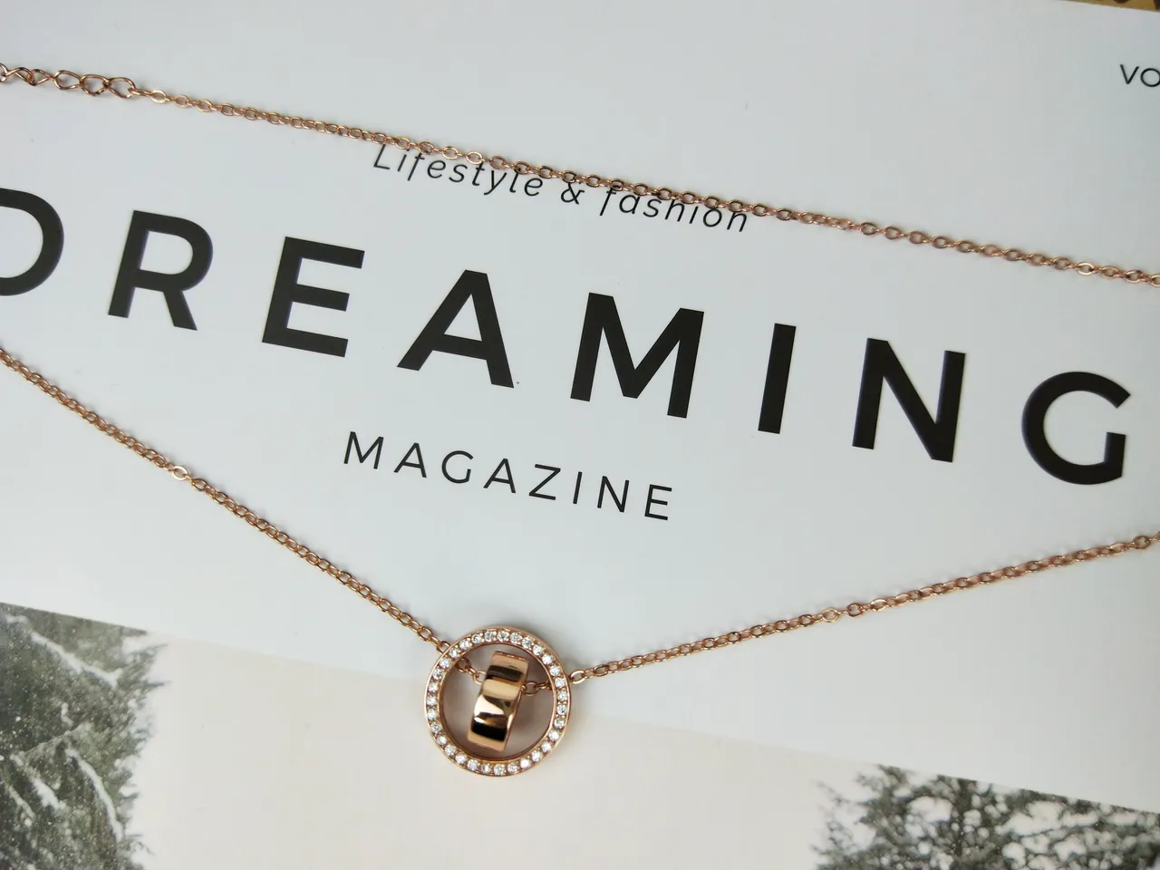 Rose Gold Pavé Circle Rotating Ring Necklace 7