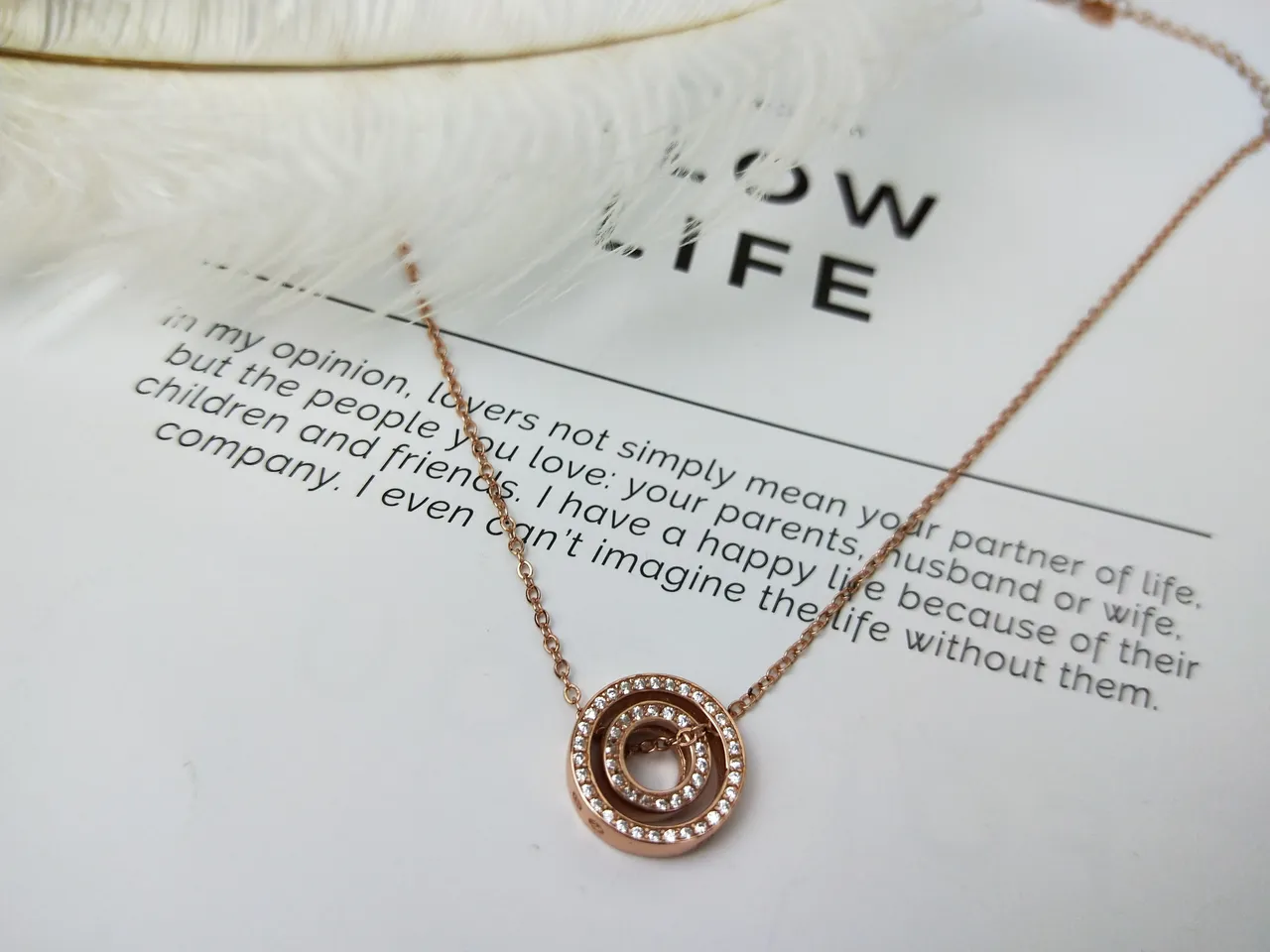 Rose Gold Pavé Circle Rotating Ring Necklace 10