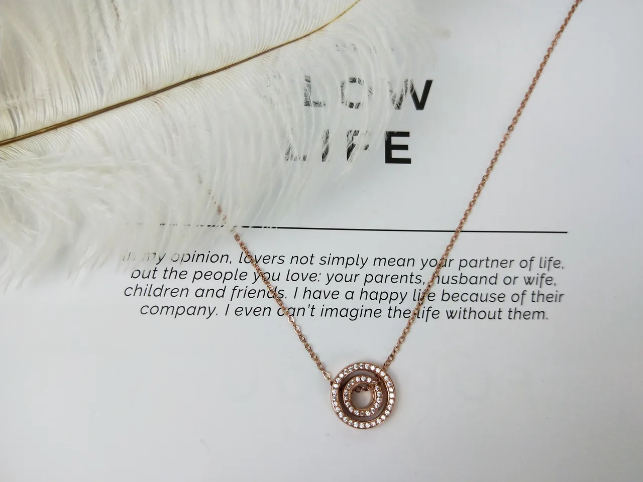 Rose Gold Pavé Circle Rotating Ring Necklace 11