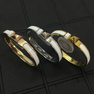 Hermès Collier de Chien Bracelets en émail blanc, or et palladium